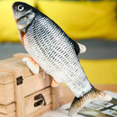 Peixe Elétrico Interativo Recarregável para Gatos